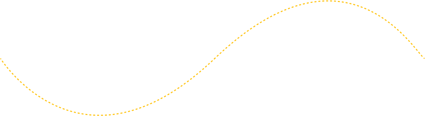 Decorative line connecting Preble NY Taxi Service booking steps